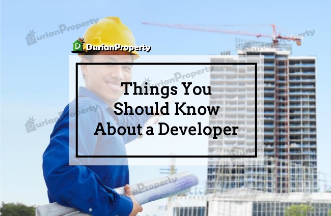 Things You Should Know About a Developer