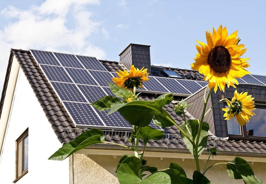 Solar panel houses can set off electricity bills soon