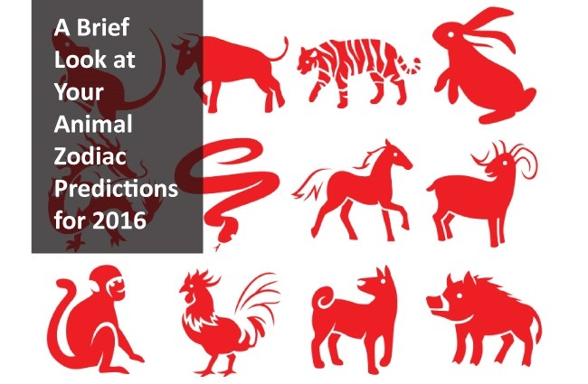 A Brief Look at Your Animal Zodiac Predictions for 2016