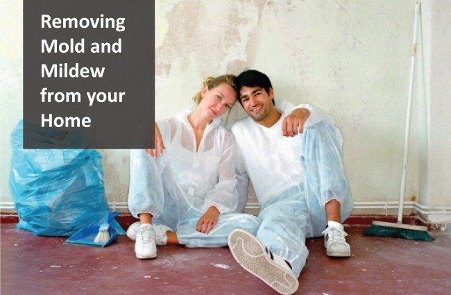 Removing Mold and Mildew from your Home