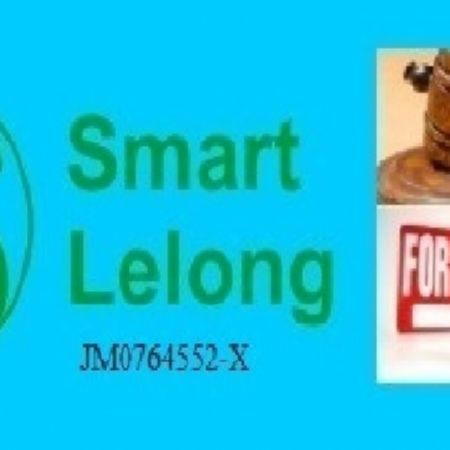 Smartlelong.com